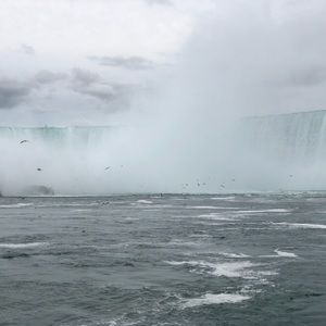 Meet your Posher, Nicholas